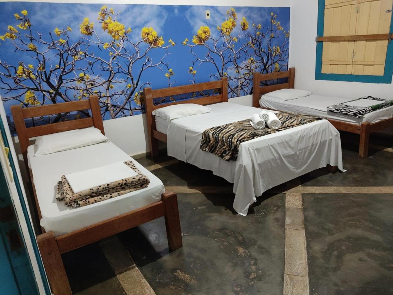 Pousada Colonial Pirenópolis エクステリア 写真